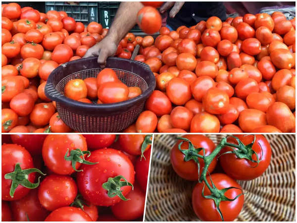 Tomatoes on Paytm: పేటీఎంలో టమాటలు… కిలో రూ.70 మాత్రమే… ఒకరికి రెండు కిలోలు